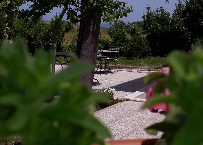 Marianna 3* Васто